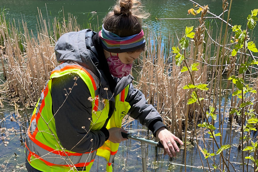 Identifying Wetlands – The Role of Civiltech’s Environmental Scientist