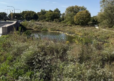 Jackson Park Improvements — Obama Presidential Center Nature-based Solutions