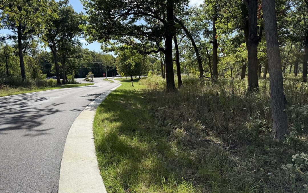 Maintenance and Monitoring Services — Nature-based Solutions