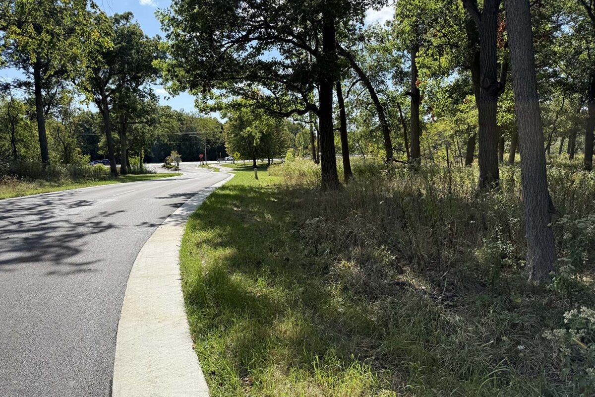 Maintenance and Monitoring Services — Nature-based Solutions