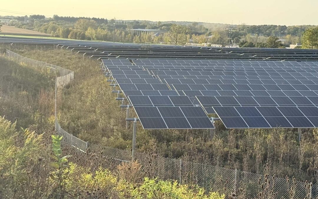 Renewable Energy Site Evaluation and Design — Nature-based Solutions