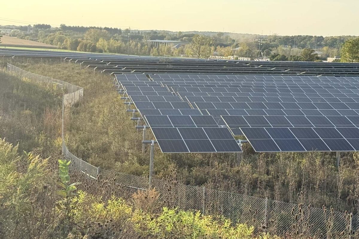 Renewable Energy Site Evaluation and Design — Nature-based Solutions