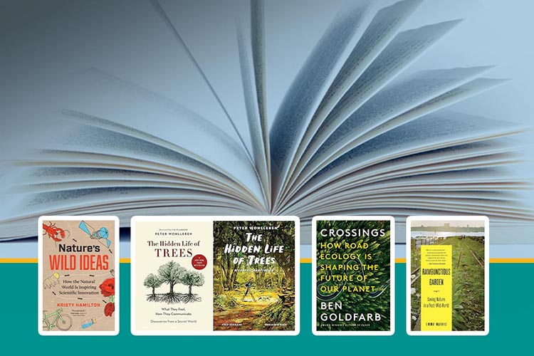 Civiltechâs NbS Book Club â The First Year