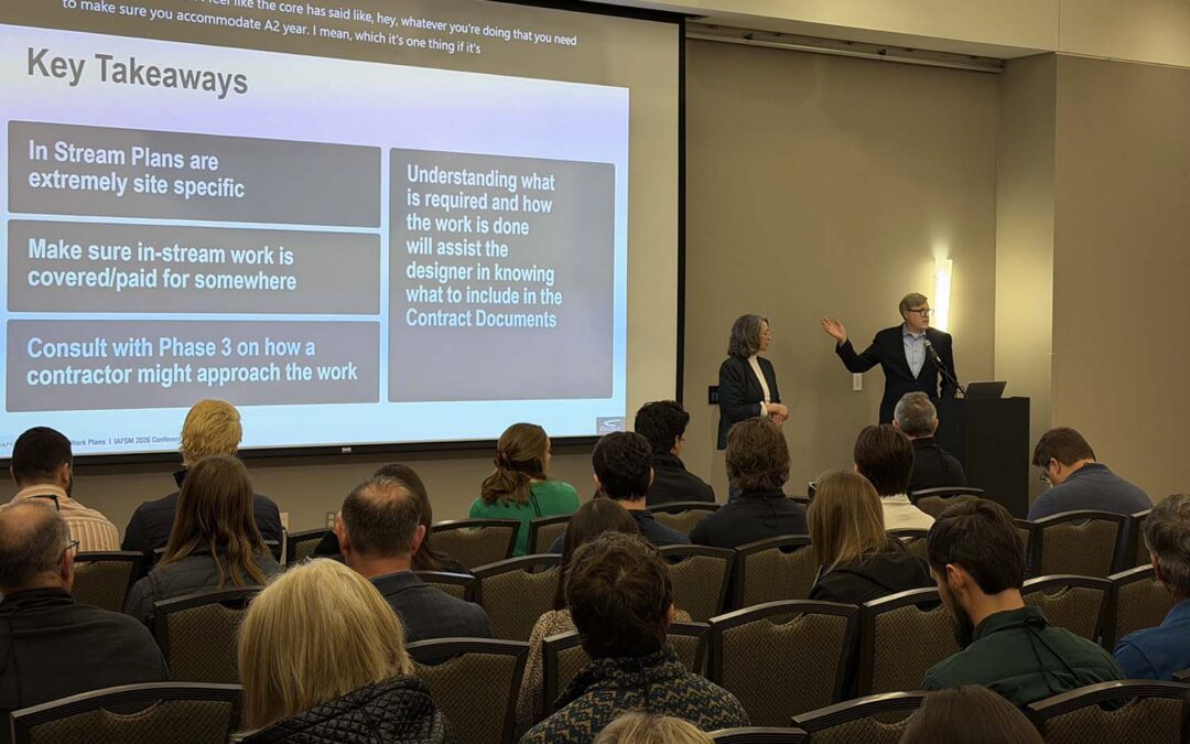 In-Stream Work Plans